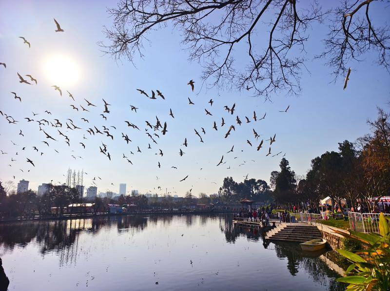 【開屏早知道】官宣！昆明住房公積金貸款利率下調！