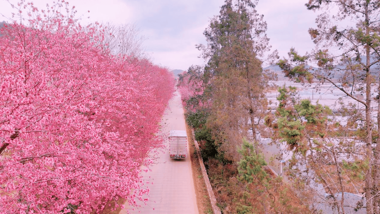 【開屏早知道】官宣！昆明住房公積金貸款利率下調！