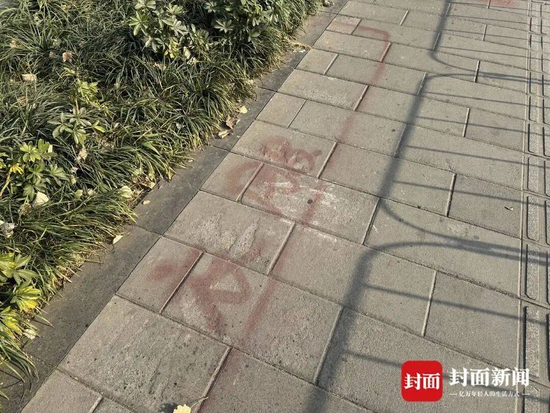 成都一街道攤販噴塗油漆“花式佔道”，官方回應