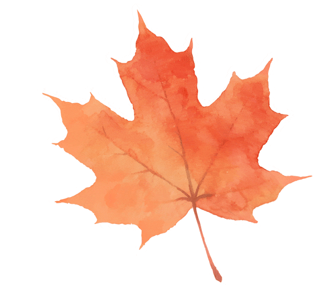 廈門新晉網紅地！藝術村落、海鮮美食完美邂逅→