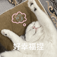 “女兒穿上我兒時的衣服，這是姥姥收藏了三十年的愛呀……”