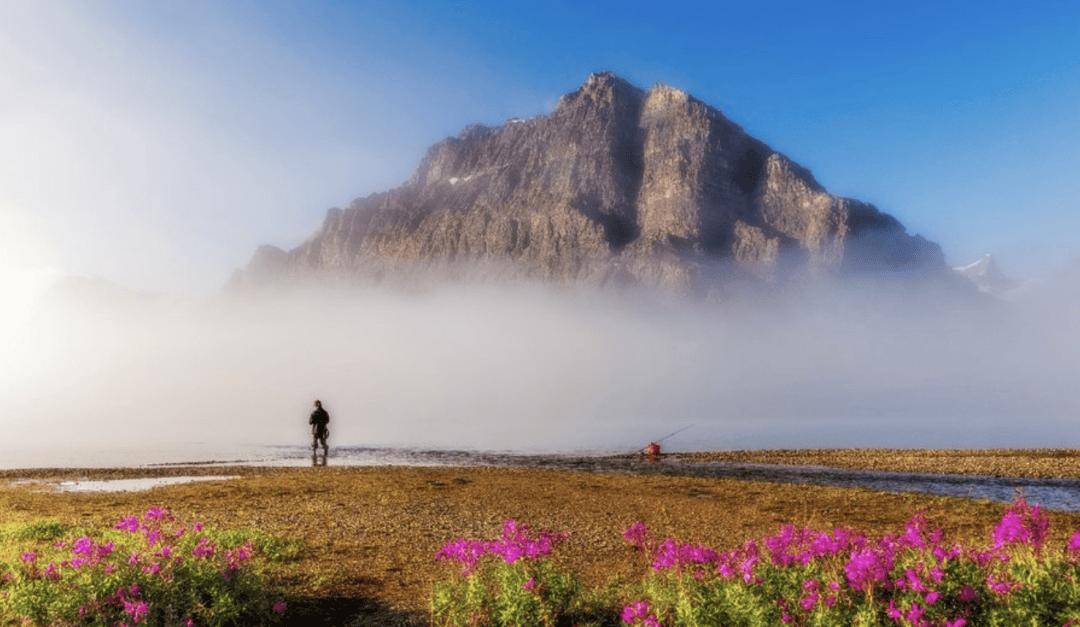 加拿大移民重磅變革——NOC程式碼大洗牌