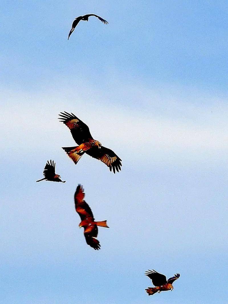 原創詩歌的蒙太奇效果