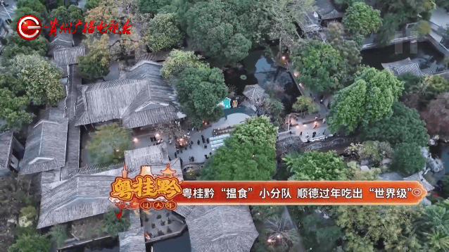 粵桂黔過大年丨“搵食”小分隊喝茶、看戲、吃美食，過年一起尋味順德