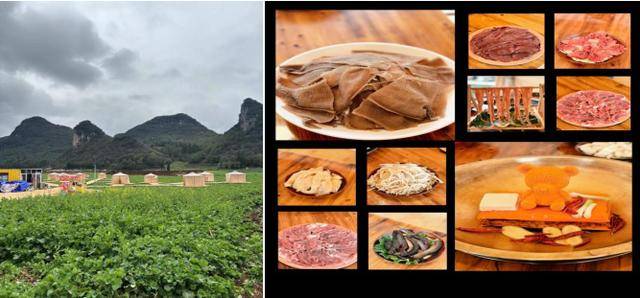 花海配美食，奔跑更帶勁 | 2026曲靖羅平花海馬拉松美食攻略，請查收！