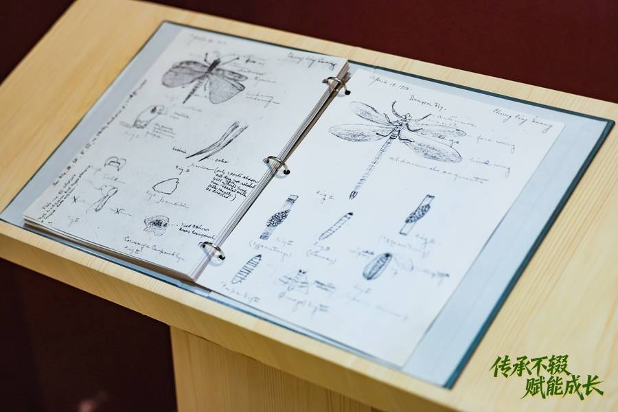 宋慶齡的大學時期動物學筆記巡展開幕