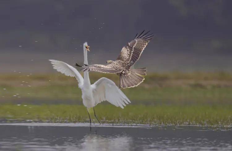 國際旅遊攝影網2026年國內外攝影路線全景指南