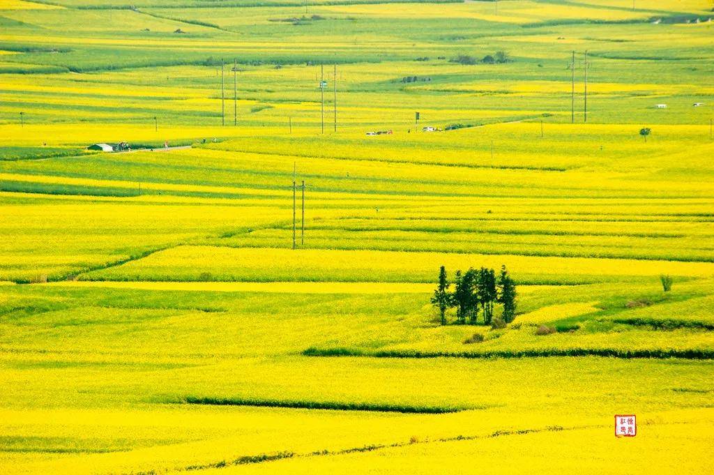 【國際旅遊攝影網】推薦住宿羅平螺絲田旭升客棧