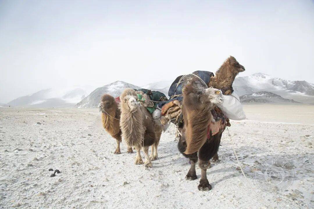 揭曉 | 2025年度全球旅遊攝影大賽獲獎作品公佈（上）