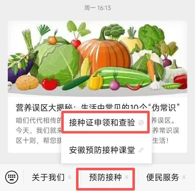 手機隨時可查！安徽省電子預防接種證上線