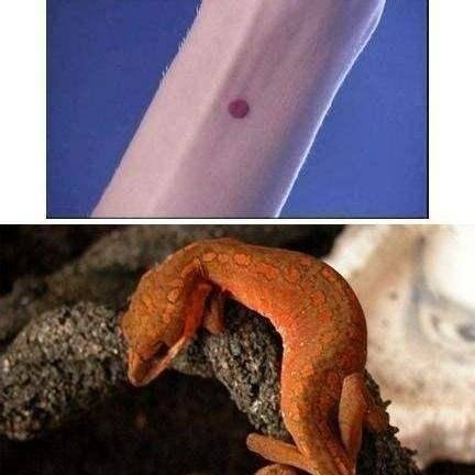 慈寧宮裡的奇怪雕刻：陵墓才會有的雕刻，竟出現在慈寧宮