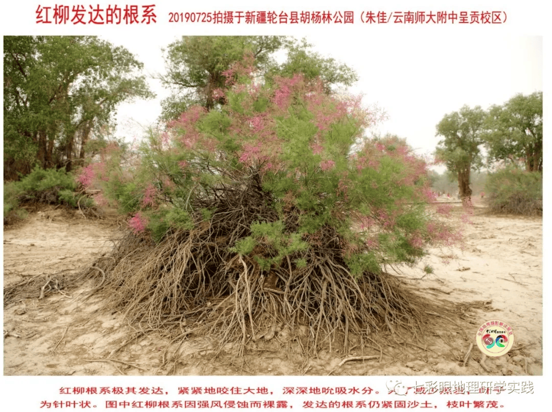 200個地理閱讀和命題的好素材