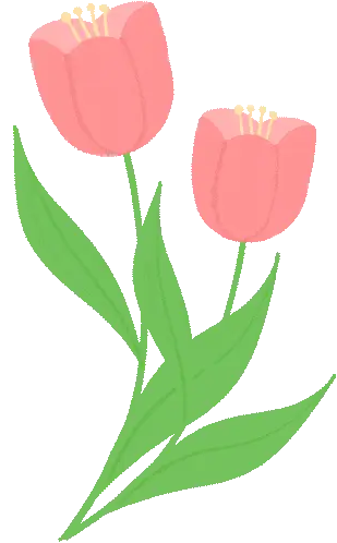 小學生英語口語 200 句｜天天練 5 分鐘，開口超自信