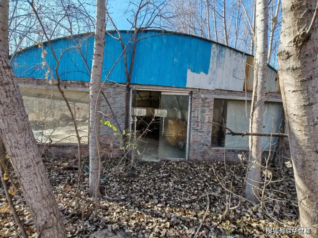 記錄德州：探秘德州曾經最火的旅遊勝地——大雁島，還有東山再起的機會嗎？