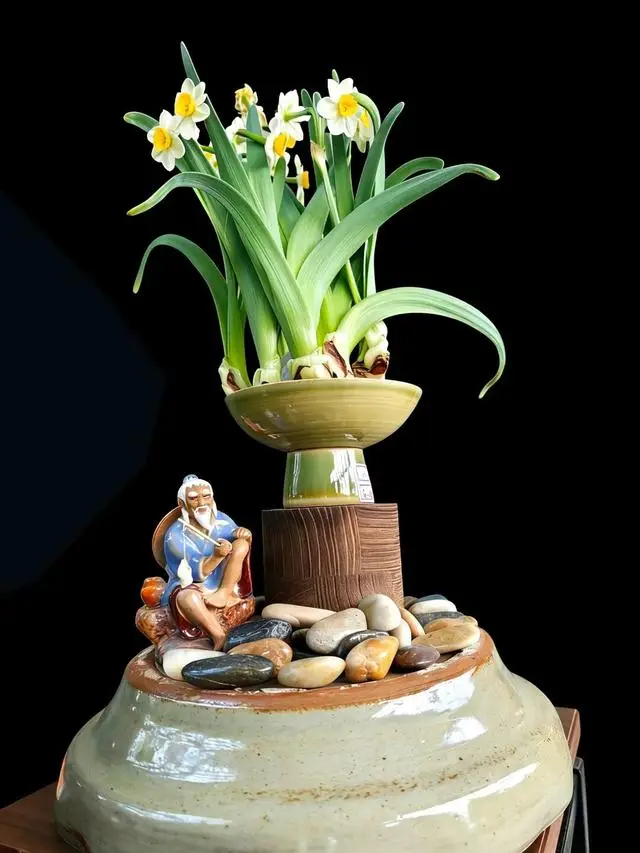 2026年新春水仙花展暨水仙雕刻藝術展亮相濟南公園