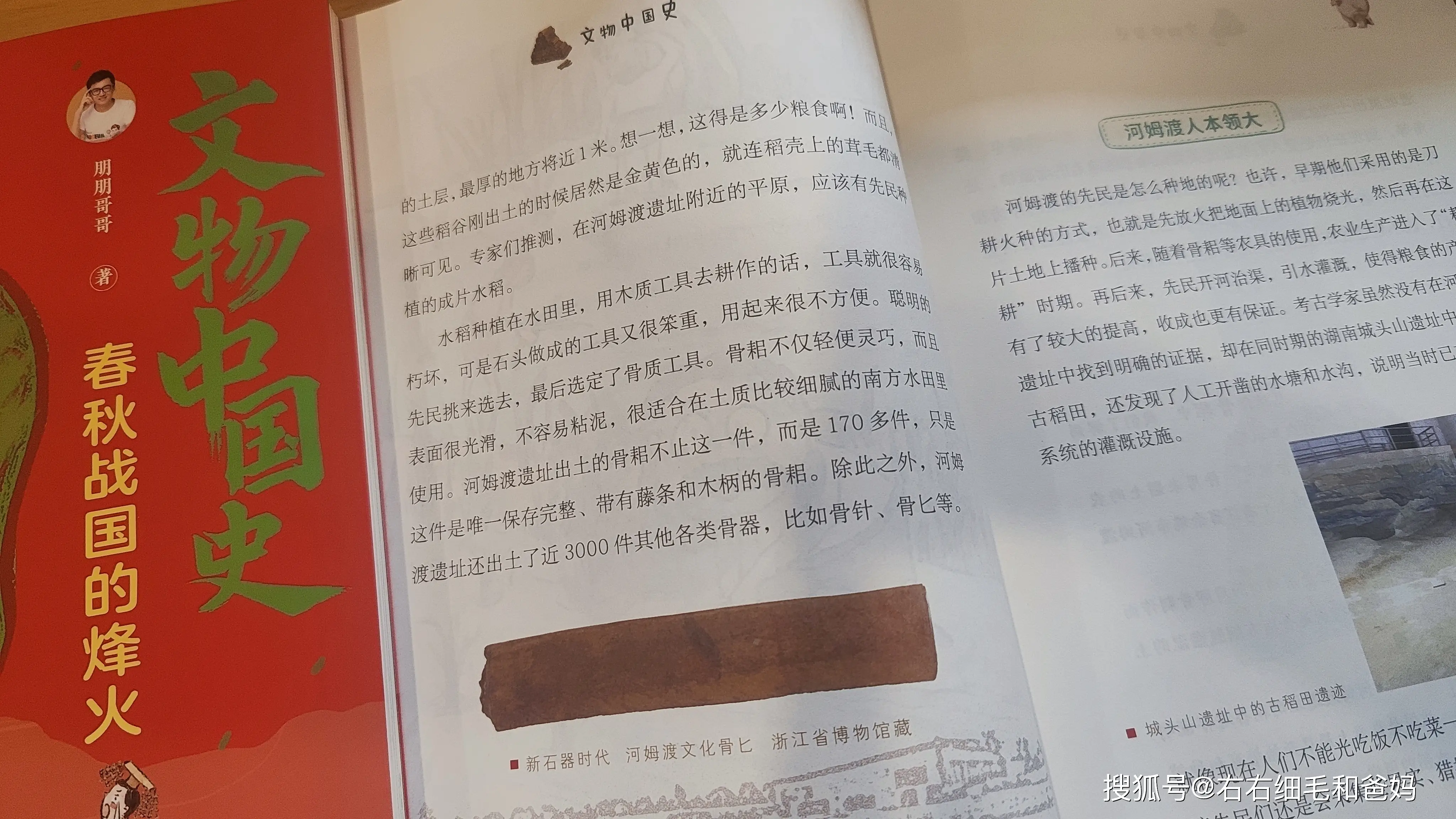 原創中考歷史開卷反而丟分？86分敲響警鐘：小學欠的賬，初中藏不住