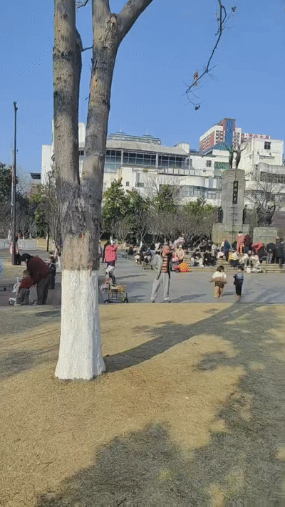 原創跑錯方向的“搶跑”教育：公園裡、公車上，被“逼”學習的5歲娃