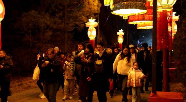 逛圓明園賞燈會！留學生在海淀沉浸式體驗“中國年”