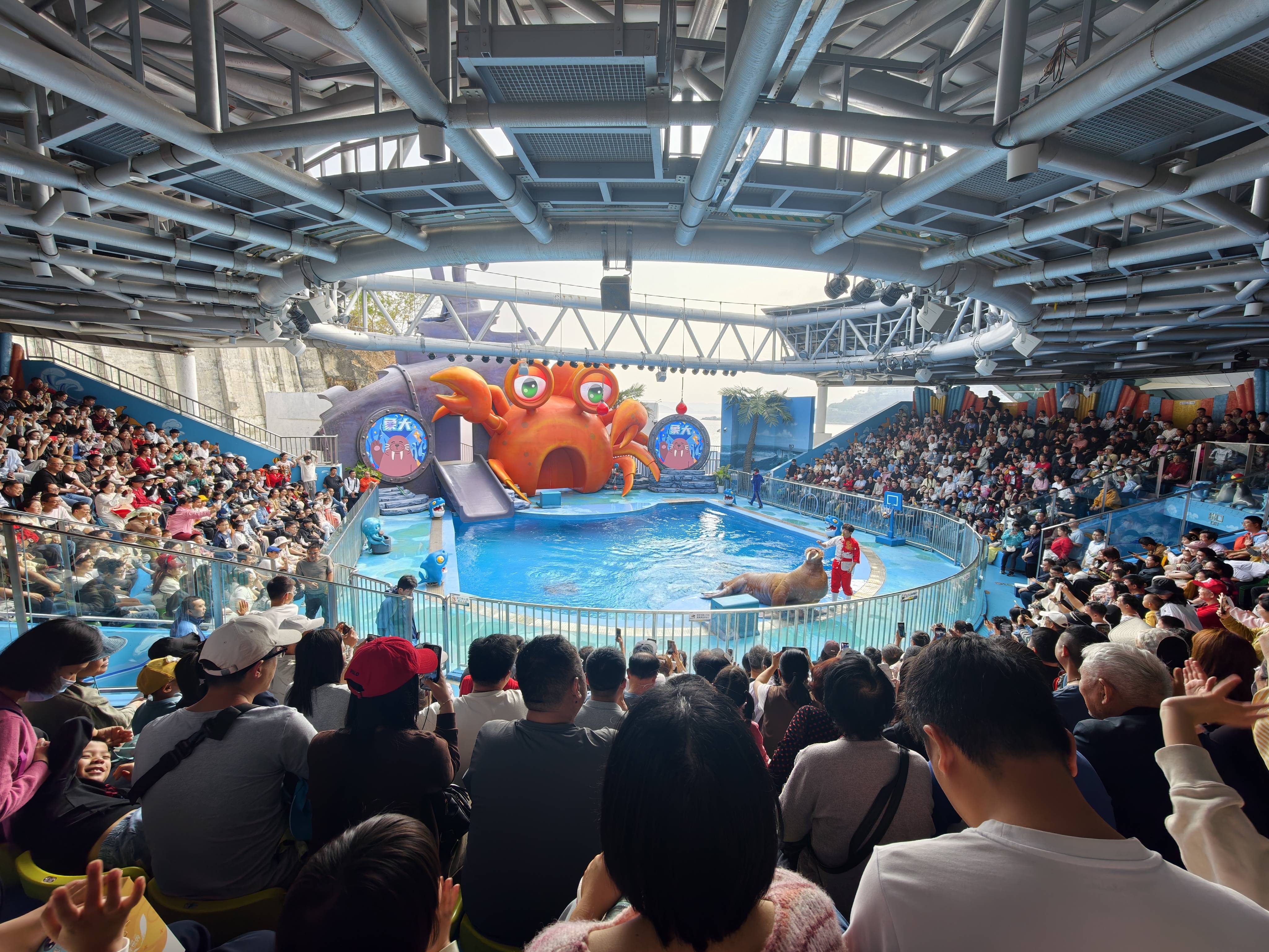 穩居春節全國旅遊熱門榜 深圳文旅憑實力火出圈