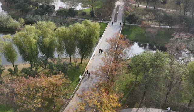 春節剛過，“小天鵝旅遊團”翩躚降臨北龍湖