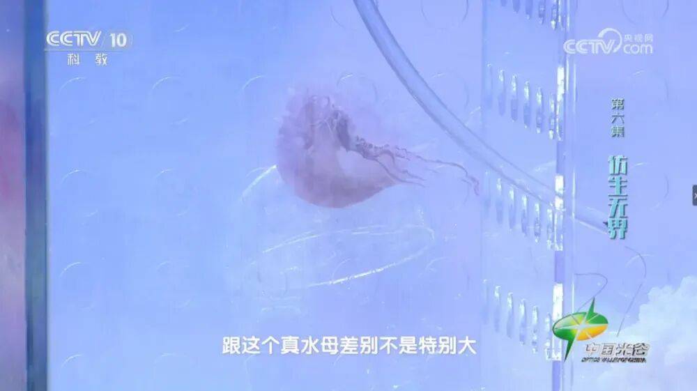 原創造導彈的大學，悄悄養出一支機器人軍團