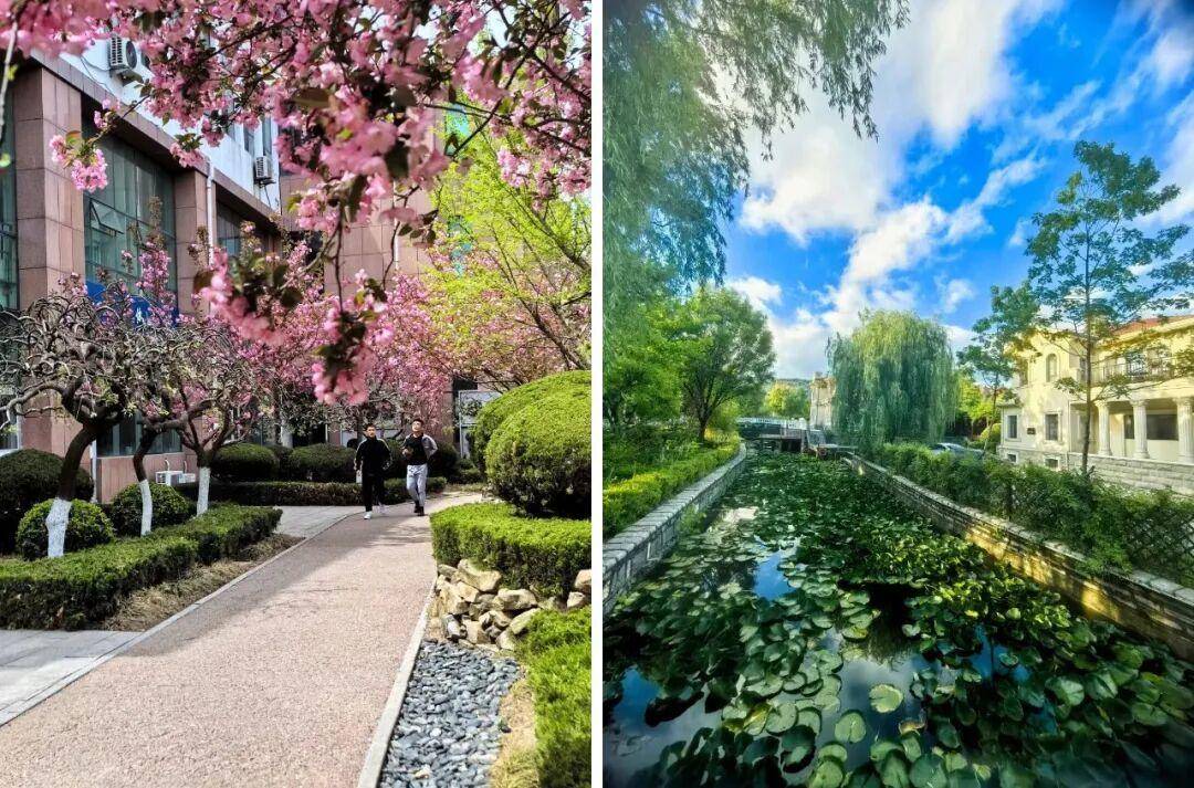 山東外國語職業技術大學招聘33名教師！