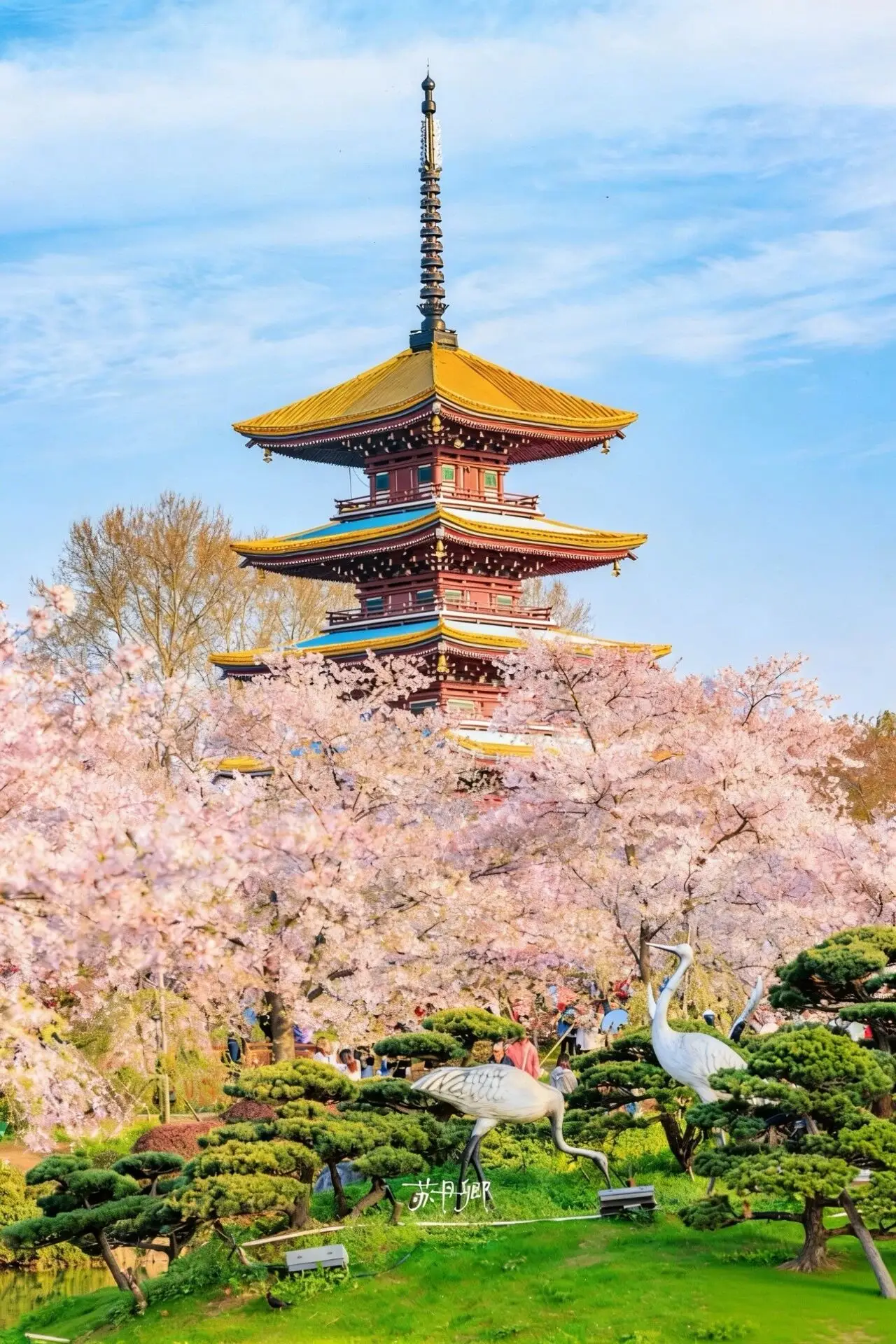 原創武漢賞櫻攻略請收藏！除了武大和東湖，還有這些免費打卡地哦