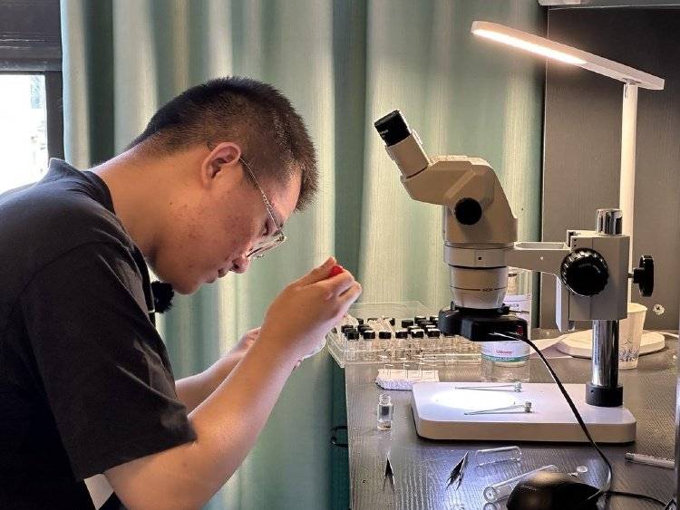 那些發現新物種的少年：有的是論文一作，有的獲得命名權