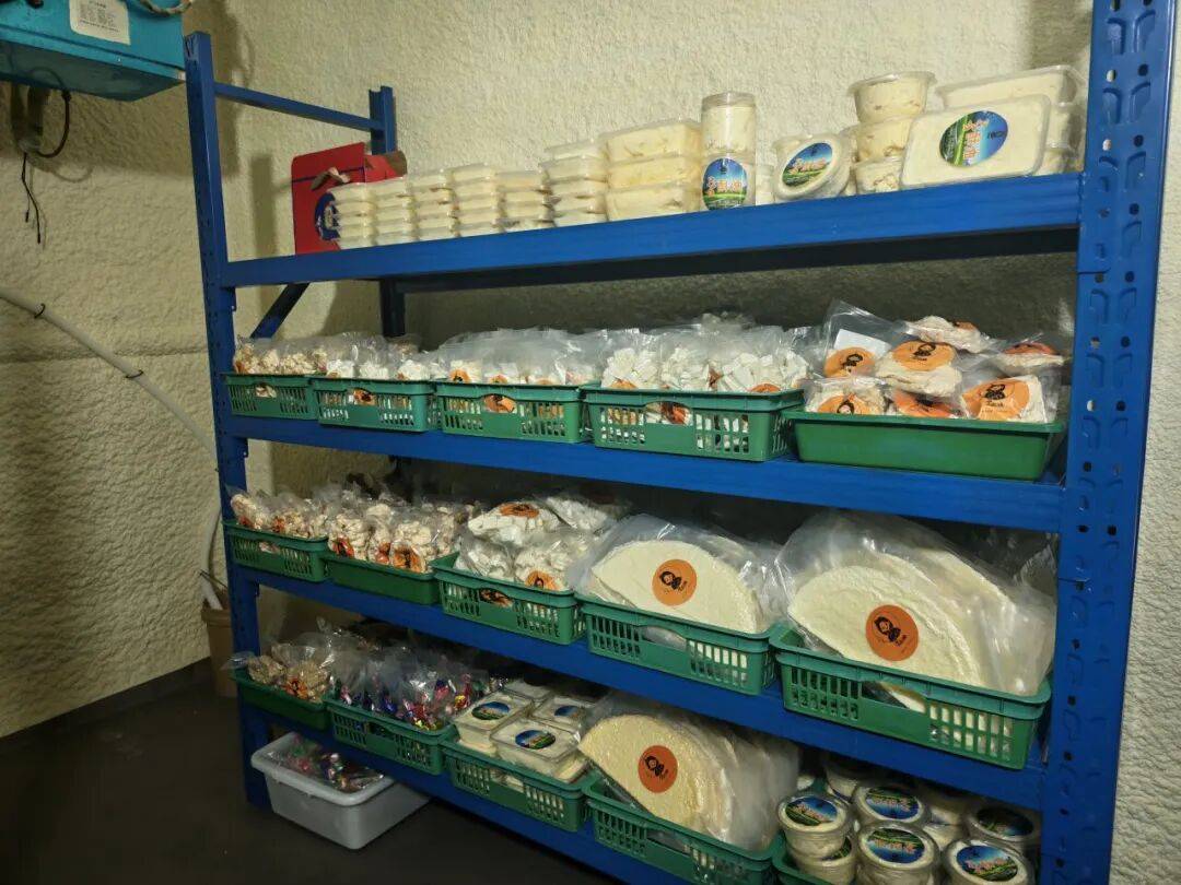 從海外留學到返鄉創業，一路都是熱愛