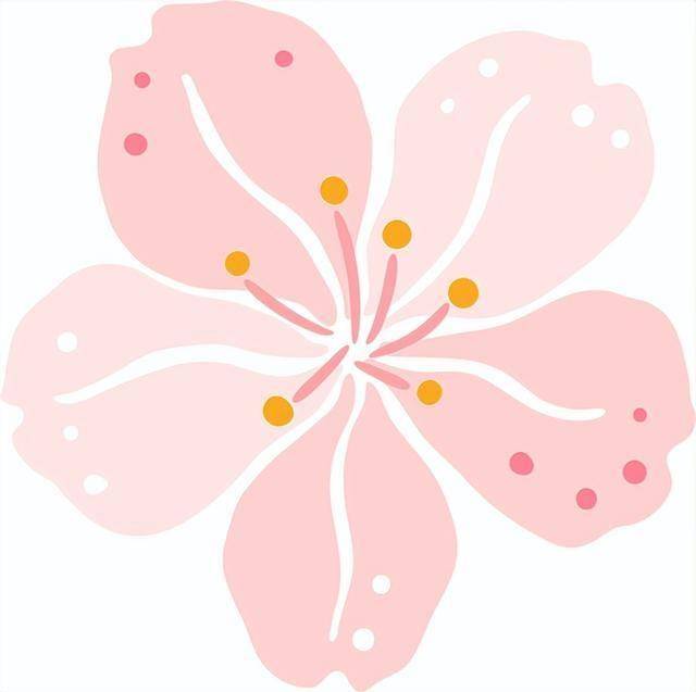 破萬！清涼寨櫻花旅遊季啟幕