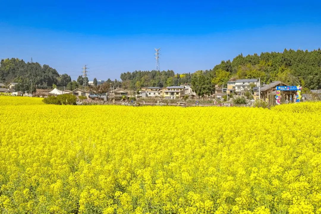 石鍾鎮前鋒村：春日盛景啟用鄉村旅遊新動能