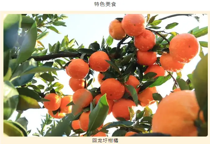 湘超冠軍城永州美景美食地圖上新了！趕緊收藏分享