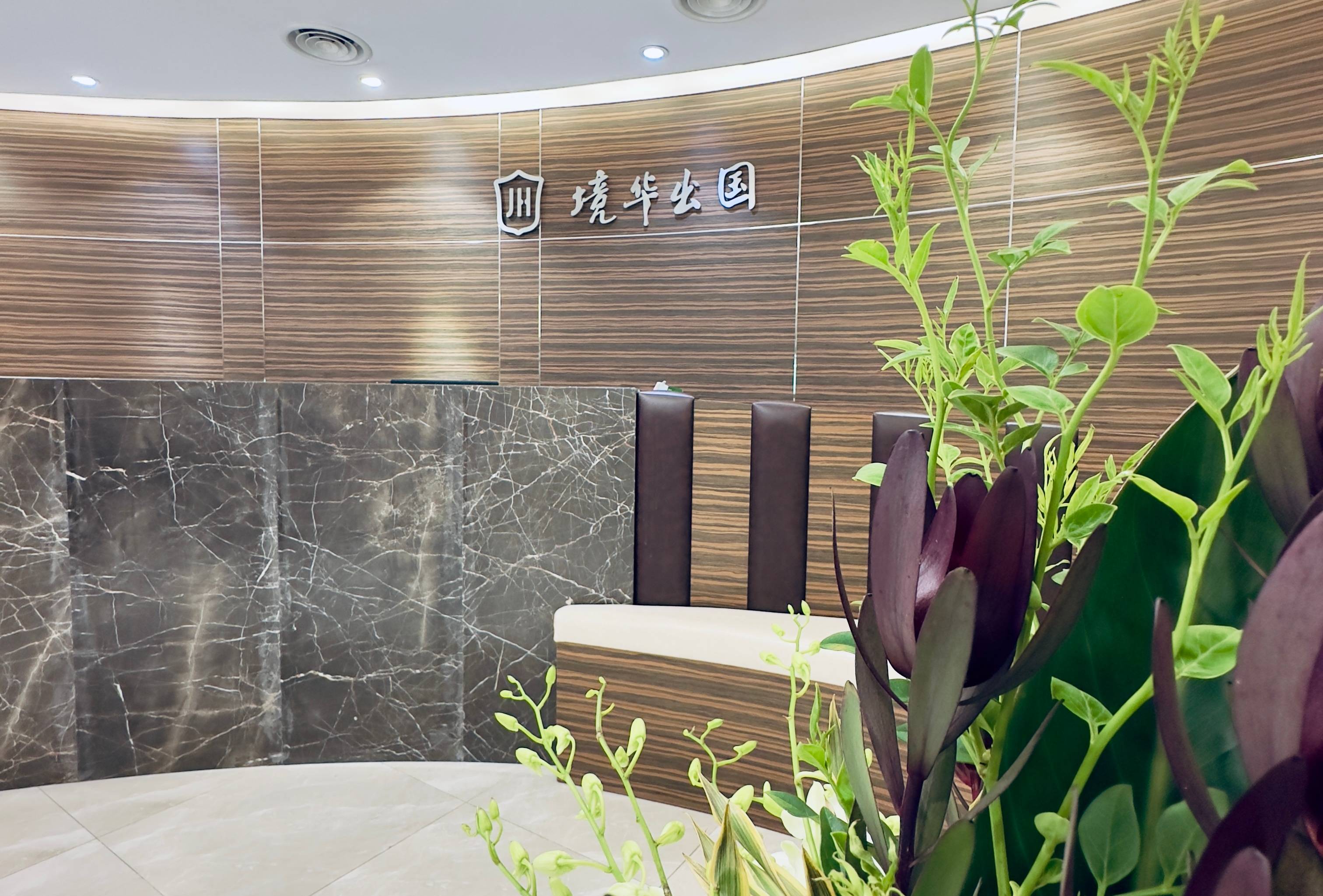 深度解析加拿大移民：權威中介助力技術移民之路