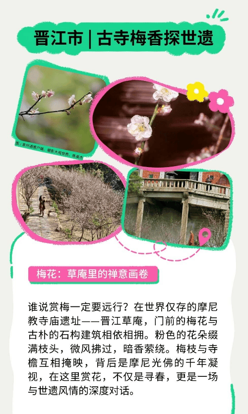 收藏！泉州春日賞花去哪裡？花期+地址全攻略