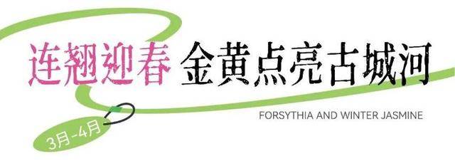 速收藏！棗莊臺兒莊古城春之花影與夜燈，錯過再等一年喲！