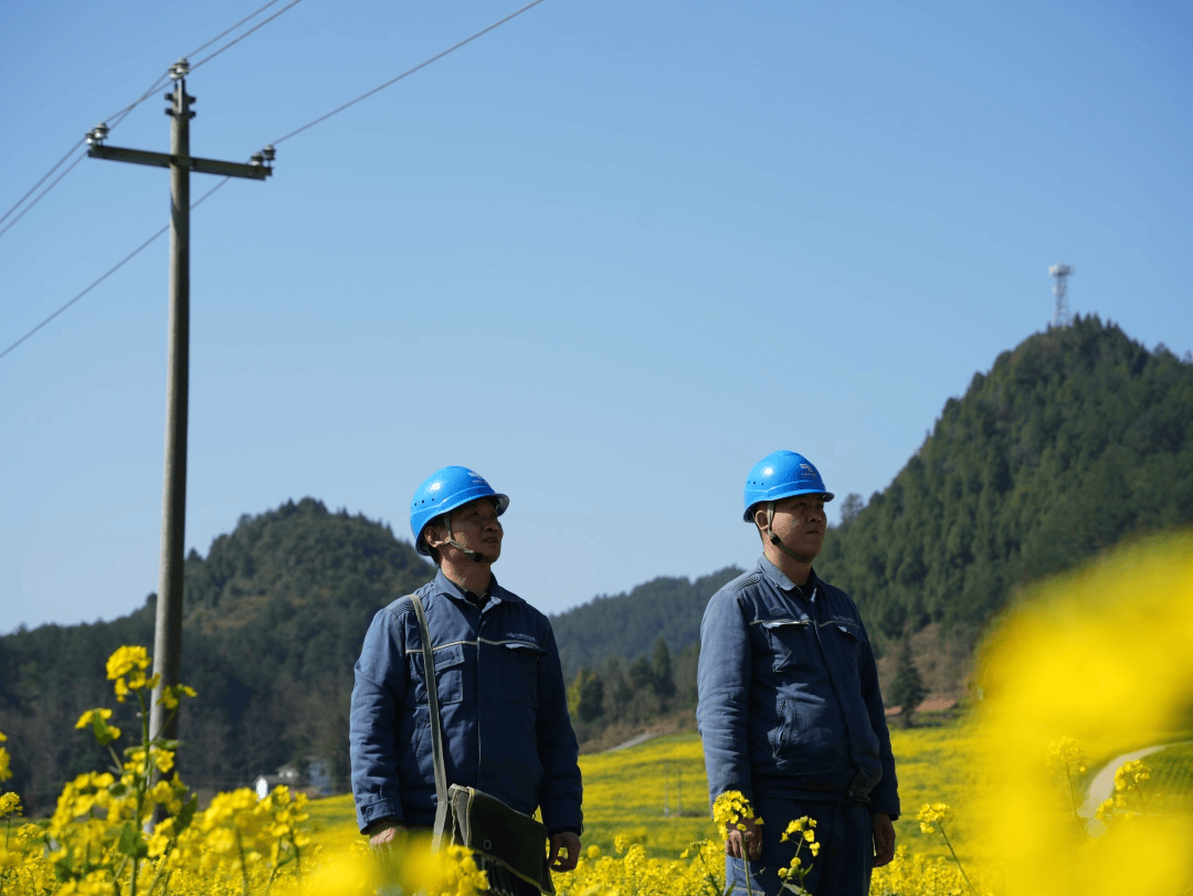 “黃金海”裡巡線忙 護航旅遊保電安