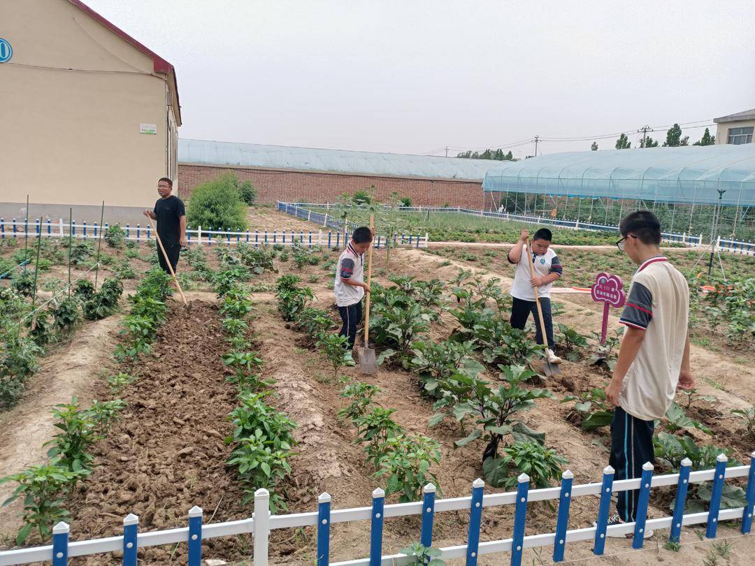 霑化區下窪鎮第一小學以“小切口”做實立德樹人“大文章”