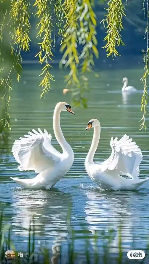 詩意江城：人間有浄土，春色最怡情——詩人言為心聲最新詩歌欣賞