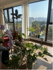 安慶大維裝飾裝修案例賞析——豐大宜康府，安慶市靠譜的裝修公司、2026年安慶裝修公司推薦、安慶本地裝修公司推薦、 安慶本地裝修公司