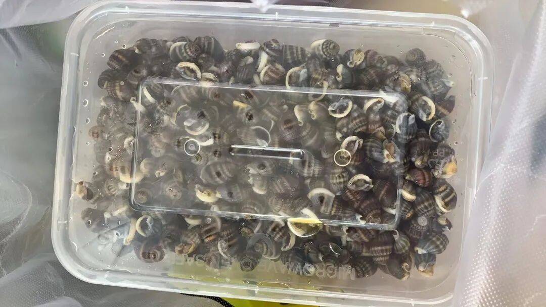 【開屏早知道】附崗位表！雲南新一批招聘公告來了