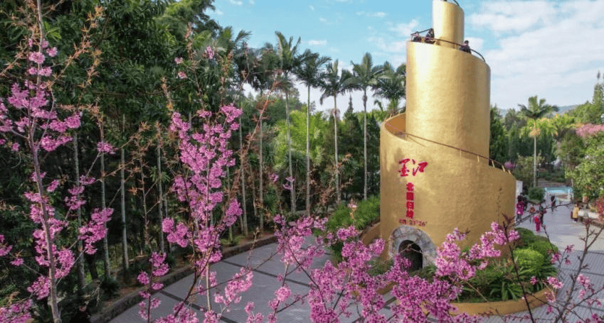 湄公河旅遊春日賞花地圖 | 把時光浪費在花事裡，剛剛好~