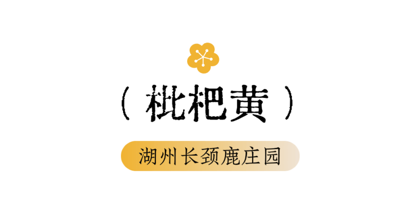 當用中國傳統色開啟“湄公河旅遊”，原來風景可以這麼詩意~