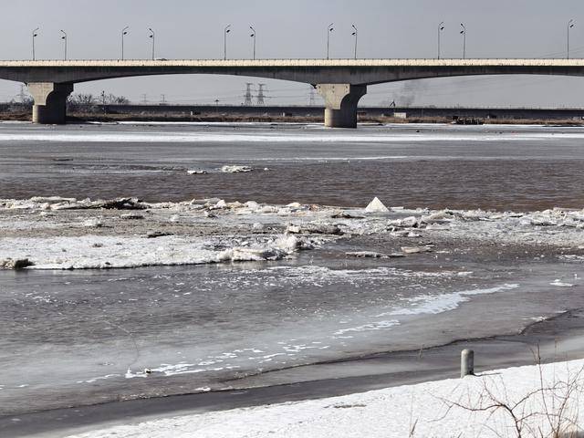 沿黃河城市成為春季旅遊熱門打卡地