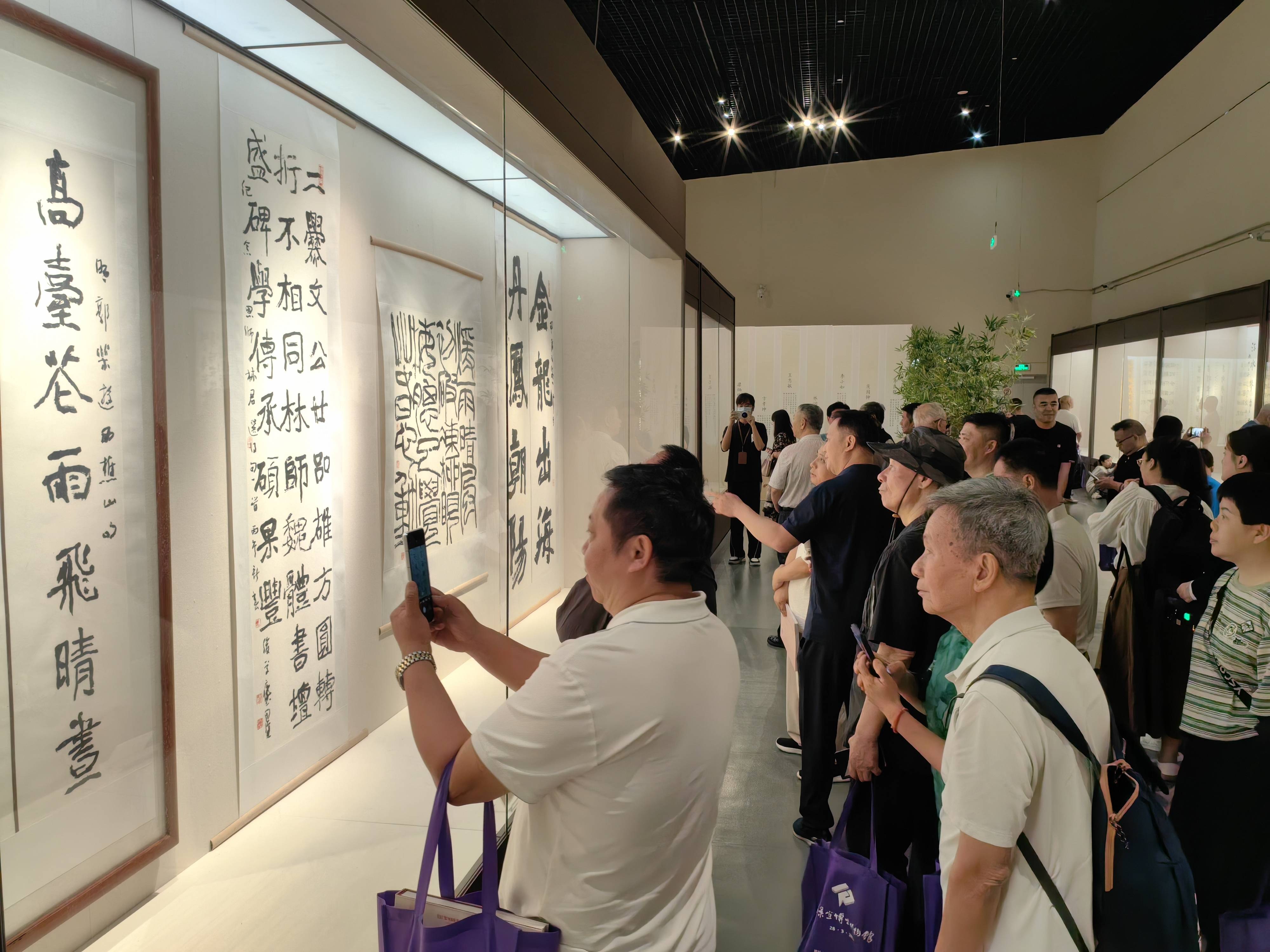 翰墨書文脈，佛山書法十五家提名展揭幕