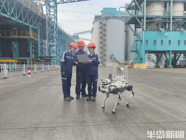 青島故事｜連造兩款機器人！女研究生紮根碼頭兩年，從基層學徒進階全市技術能手