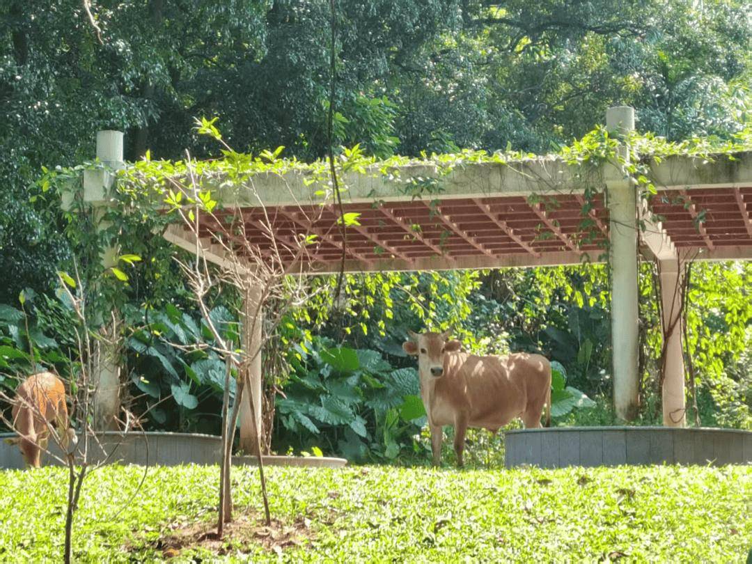 全中國最接地氣的大學生，被小看了