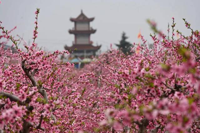 一磚一瓦遇春光，收藏這一幀幀“山河春韻圖”