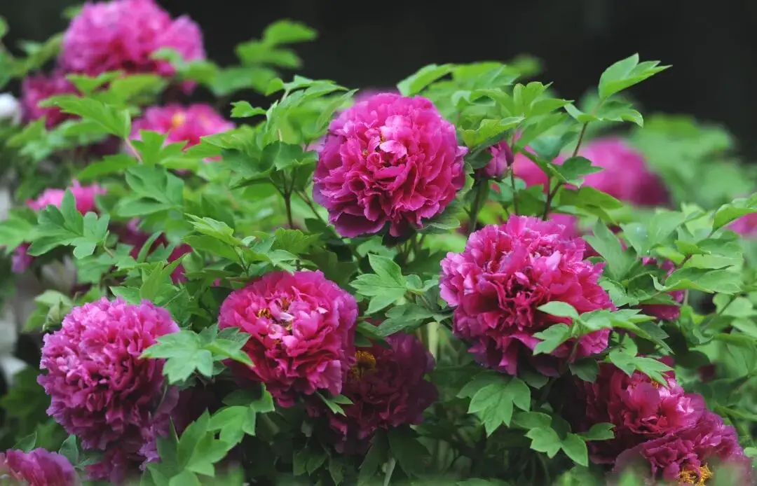 成都出發適合4月去的6個旅遊城市推薦！