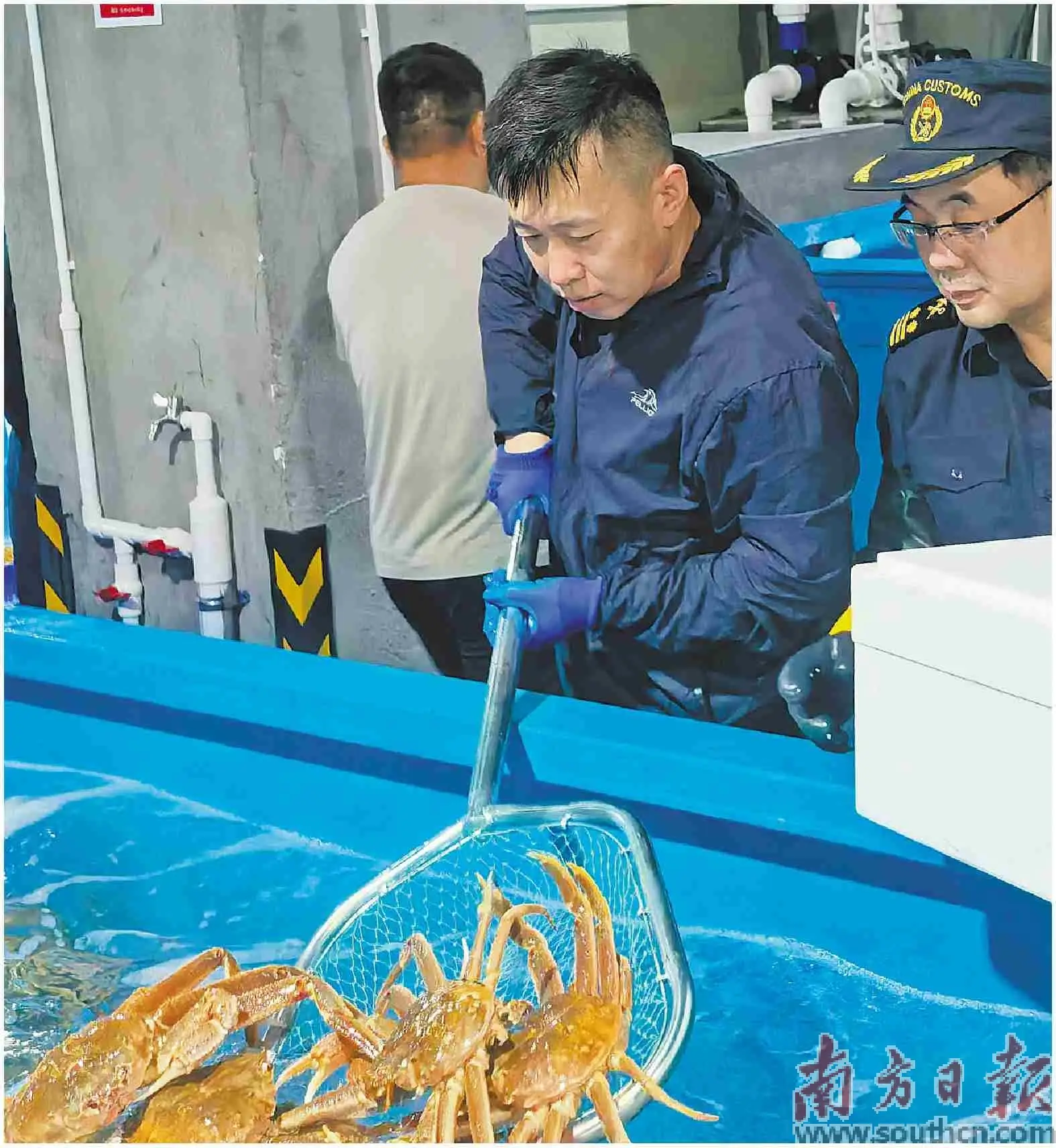 企業實現“北蟹南吃”倉儲夢