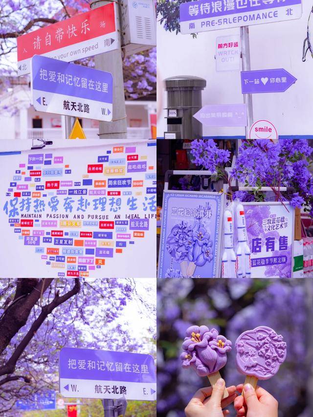 比大理浪漫！比昆明更近！高鐵直達陽光小城，2萬株藍花楹美瘋！觀海登山，美食吃到爽！